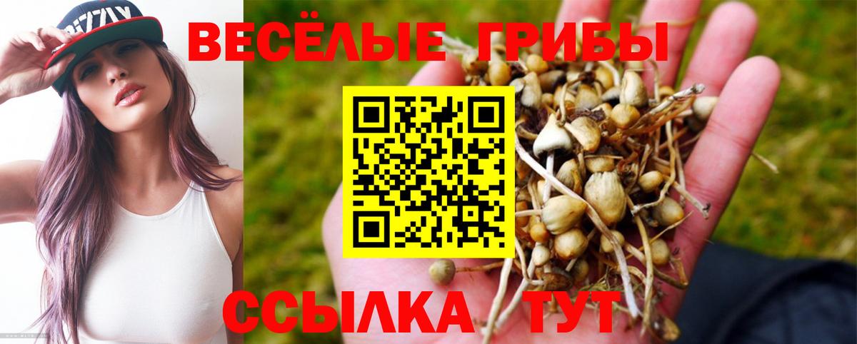 Галлюциногенные грибы мухоморы Хабаровск